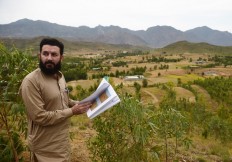 'Green gold': Pakistan plants hundreds of millions of trees