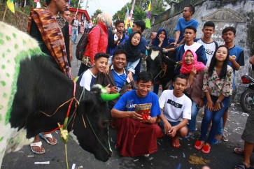 Harmony with ‘ketupat’.