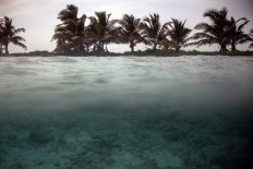 UNESCO removes Belize reef from endangered World Heritage list
