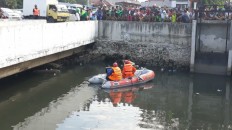 Crowds hamper crocodile hunt in Jakarta river