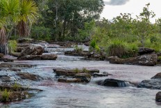 UNESCO marks Colombian national park for conservation