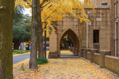 Japan aims to help talented math and science students grow into leading researchers by integrating education programs at some high schools and universities from next academic year.