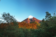 Prambanan Temple to host National Parks and Nature Tourism Parks Festival