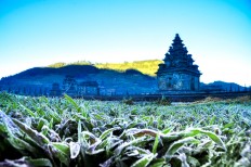 Tourists, hikers warned about cold weather at Dieng Plateau, Mt. Semeru