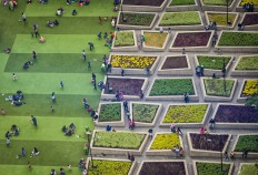 Bandung to lure more Muslim travelers with halal tourism 