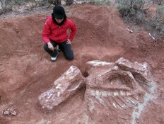 Giant dinosaur bones get archaeologists rethinking Triassic period