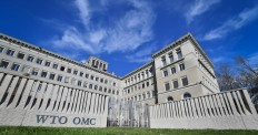 Eight contenders battle for WTO leadership