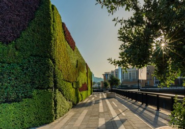 Dubai now hosts largest living green wall