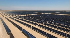 Latin America's largest solar park turns Mexican desert green