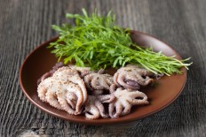 Illustration of octopus meat. The district of Kaur in Bengkulu is ready to break records as it prepares to hold Indonesia’s biggest octopus culinary festival.