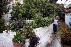 A bit of the Greek islands in the heart of historic Athens