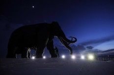  Bioscience firm claims will bring back extinct woolly mammoth 