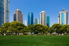 Green spaces in urban areas could improve city dwellers' morale