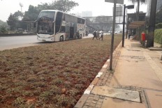 Anies to remove grass strips separating road from bus stops