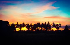 Sunset: A stunning sunset captured from rice fields in Sukawati, Gianyar. 