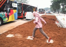 'Black River' net, Jl. Sudirman grass strip waste of money: Councilor