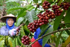 North Sumatra becomes major exporter of agricultural commodities
