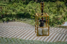 TaniHub Group raises $17m to expand services to 100,000 farmers by 2021