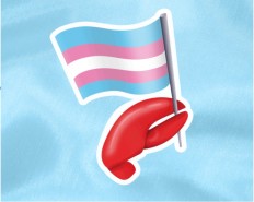 With no transgender emoji, #ClawsOutForTrans hijacks new lobster icon