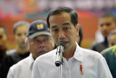 Key ministers talk about trust, loyalty under President Jokowi