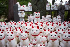 Cat snap: Tokyo 'lucky cat' temple draws Instagrammers