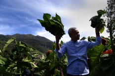 C. Java Governor Ganjar tells 'santri' to launch 'jihad' against hoaxes