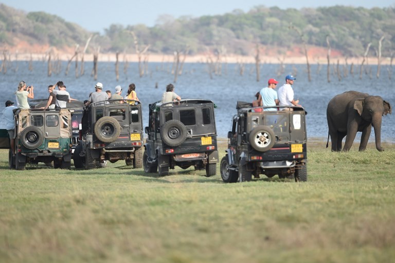 Shock treatment as Sri Lanka battles wild elephants