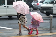 Typhoon Shanshan clips Japan coast, sparing Tokyo