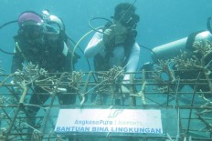 500 new corals planted off beach in Manado