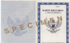 New family cards to be issued in Jakarta in 2019&nbsp;&nbsp;&nbsp;