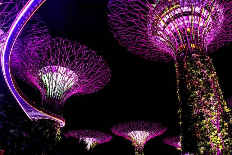 Supertree Groove at Gardens by the Bay, Singapore.