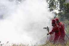 Wildfires raze hectares of land in Sukabumi nature reserves