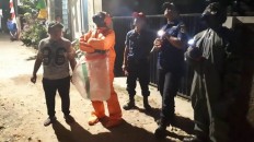 Firefighters remove wasp nest for South Jakarta residents