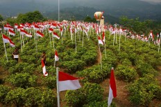 Visitors enjoy the tea plantation decorated with the national flags. JP/Maksum Nur Fauzan