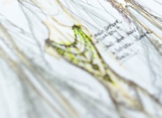 Pret-a-couture and beyond with Rusly Tjohnardi