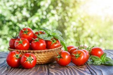 Tomatoes taste more delicious when stored on a table or near a window.