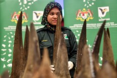 Malaysia makes record $12M rhino horn seizure