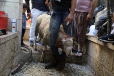 Muslims around the world celebrate Eid al-Adha