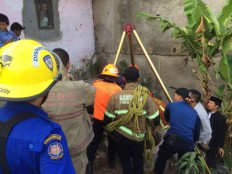 Cow rescued from well before being slaughtered for Idul Adha