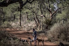 S.Africa hits back at Trump over land 'seizure' tweet