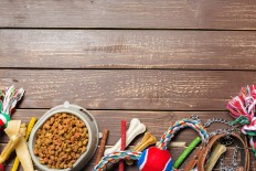 Britain bans puppy and kitten sales by pet shops