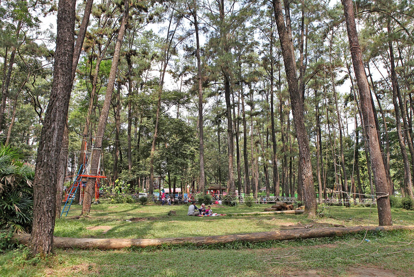 Jakarta commits to protecting green spaces at Global Climate Action Summit
