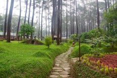 Orchid Forest Cikole in Lembang, Bandung.