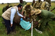 How a plan to save Kenya's rhino left 11 dead in historic blunder