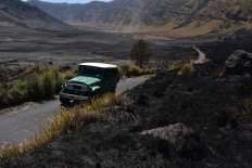 Tourists see blackened Bromo savannah after fire