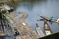 A man collects raw rubber on the banks of the Subayang River in Riau in this file photo. Rubber is currently selling for Rp 6,500 (44 US cents) per kilogram down from a high of Rp 20,000 per kg.