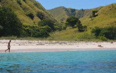 Flores to attract tourists with first-ever seafood festival