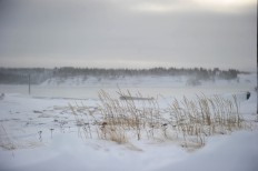 Melting permafrost threatens climate rescue plan: Study