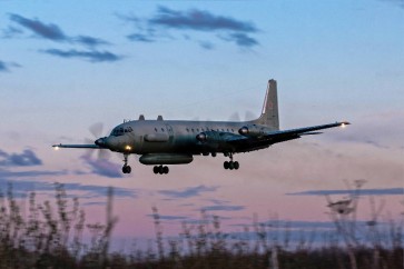 Plane downed in Syria after 'chain of tragic accidental circumstances' : Putin