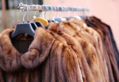 Los Angeles, city of fashion and glamour, to ban fur products